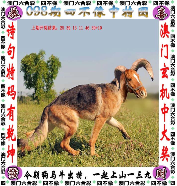 2025澳门精准正版免费四不像与2025精准资料免费资料,全面释义、解释与落实与警惕虚假宣传